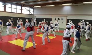 OCM TDK Club montalbanais - Montauban de Bretagne - Rennes (35) - Stage combat avec Ludovic Vo